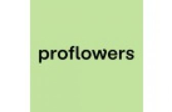 Same Day Roses as low as $40